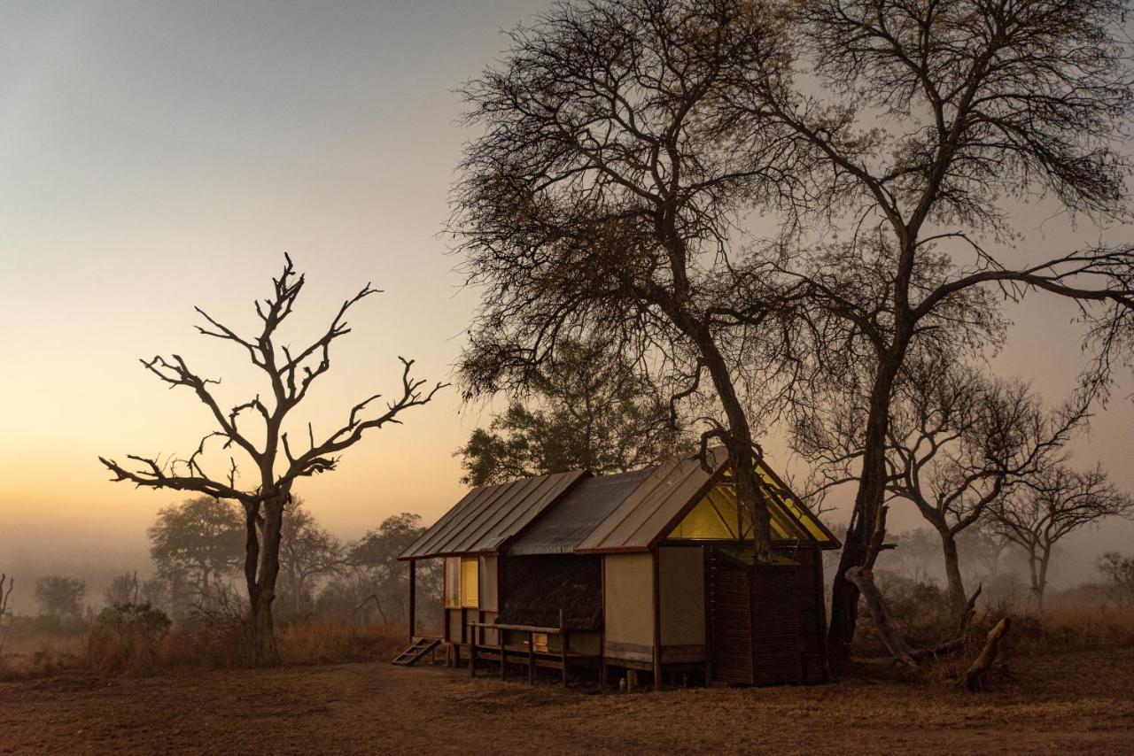 Buffelshoek Tented Camp Manyeleti Game Reserve Exterior photo